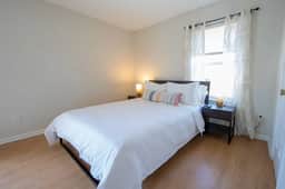 725 Wolftrap - LT