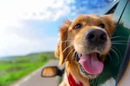 Dog Friendly, Hot Tub, & Walk to Beach!