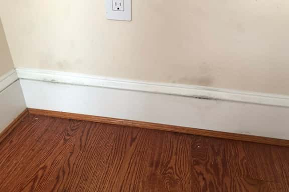 1278-E UNFURNISHED - Image 1
