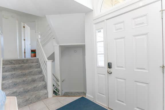VR-2349 Sandfiddler - Image 4