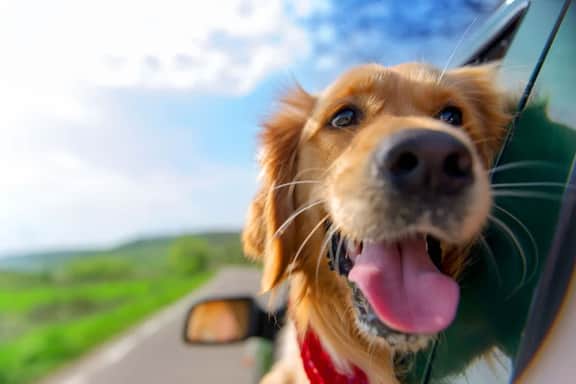 Dog Friendly, Hot Tub, & Walk to Beach!